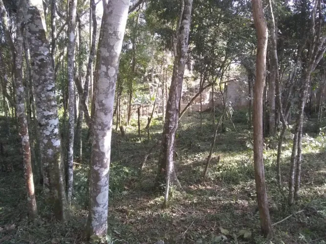 Terreno à Venda em Caputera, Cotia - SP