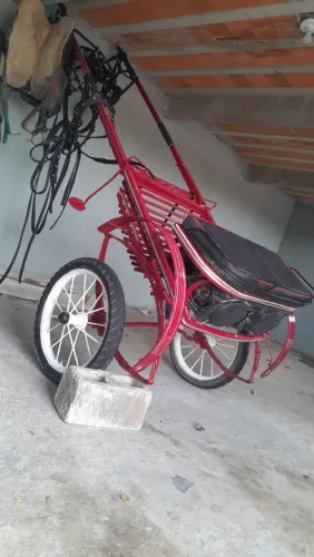 Charrete aro 21