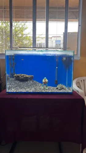 Vende-se Aquário De 105L Completo