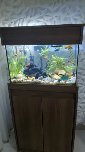 Aquário completo
