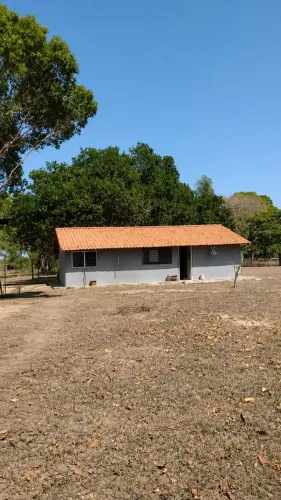FAZ. NHECOLÂNDIA 4.700 hectares de pastagem nativa Pantanal- MS