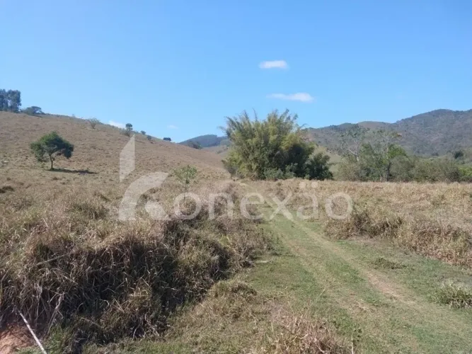 Fazenda 484 Hectares com Pomar e Ribeirão em Monte Belo, Taubaté/SP.