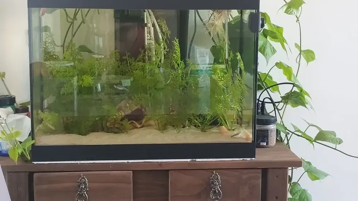 Aquário 50 litros Completo 