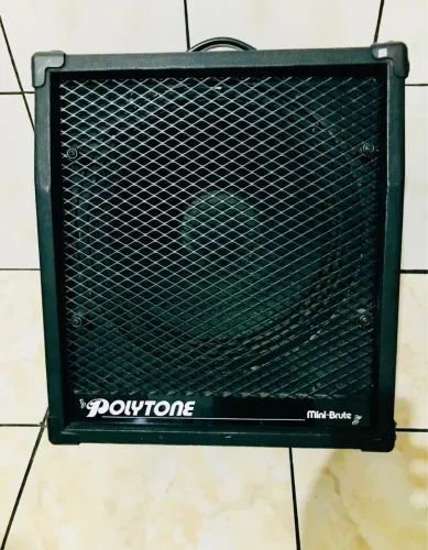 Amplificador Polytone mini brute ll