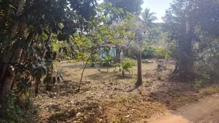 VENDE-SE TERRENO C0M 6,5 ha - MARAÚ
