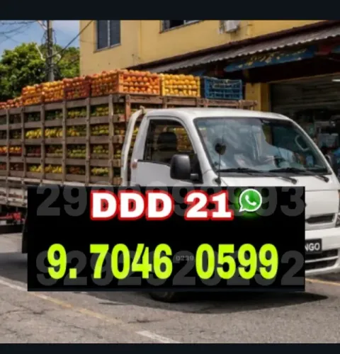 Frete com Eficiência e Pontualidade