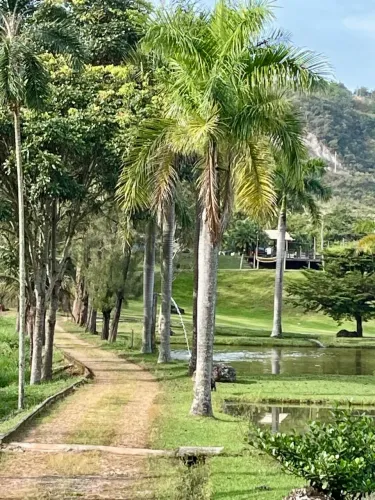 OPORTUNIDADE em Mateus Leme 