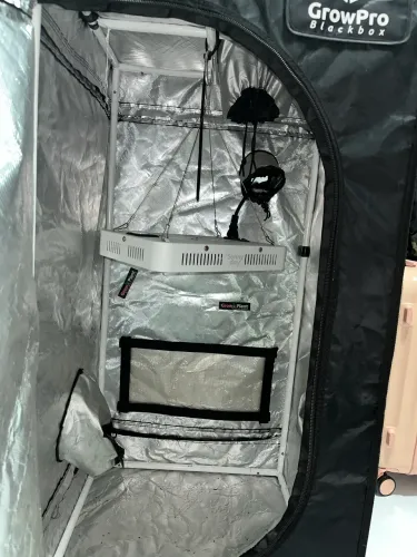 Estufa grow completa cultivo indoor 1MX 60x60