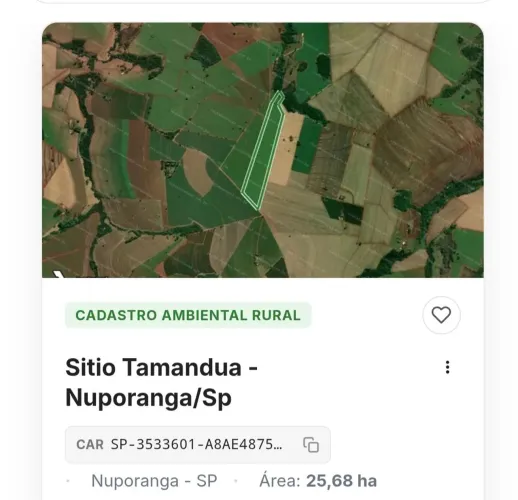 Vendo Sitio Tamandua Nuporanga SP