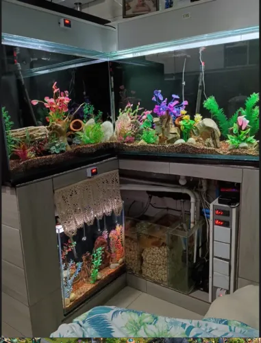 Aquario em L com sump + aquario menor com canister. COMPLETOS