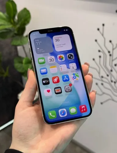 iPhone
