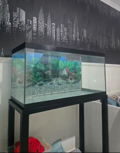 Aquário Completo 200Litros