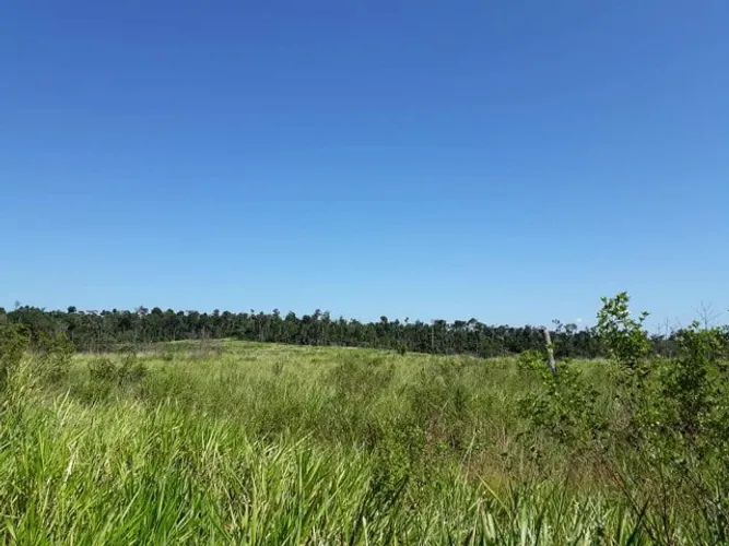 baixou 50 hectares a 60 km de Castanhal por 330 mil reais no pasto e cercado