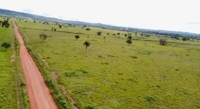 Fazenda em Filadélfia - Araguaína. 