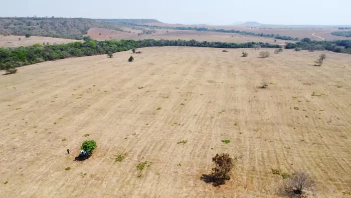 Fazenda de arrendamento 647hec em Paranatinga MT.