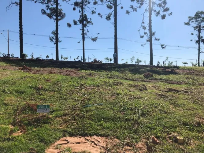Terreno à venda, 125 m² por R$ 200.000,00 - Terra Nobre Granja Viana - Cotia/SP