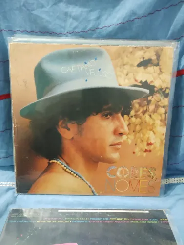 LP vinil