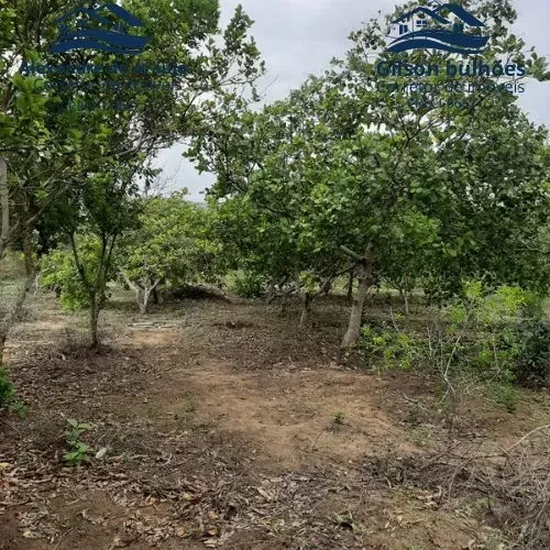 TERRENOS NO CONDE-PB (ESCRITURADOS E REGISTRADOS)