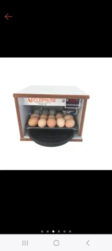 Chocadeira semi novo