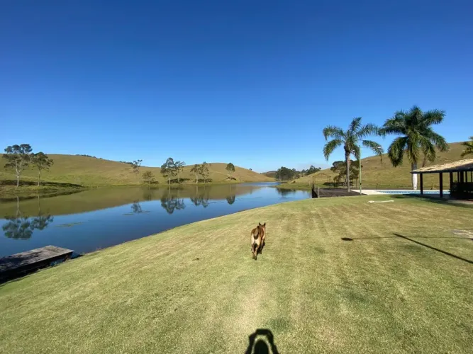 Fazenda com 65 Alqueires , com lago e 2 sedes -mangueiro - formada .