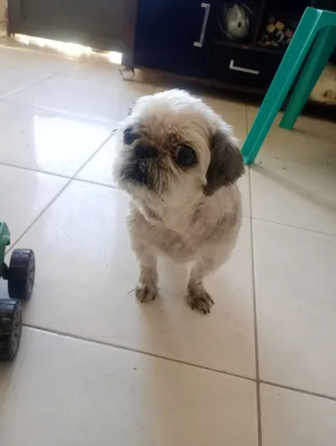 Doação
