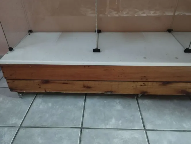 balcão vitrine 