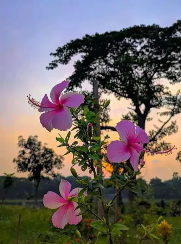 Terreno 500m² Ibiúna Lageadinho Condomínio Fechado com Infraestrutura