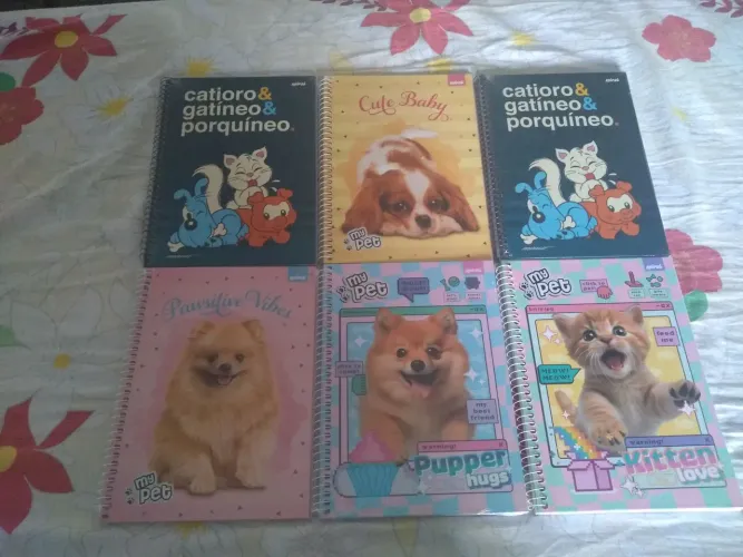 Caderno Escolar