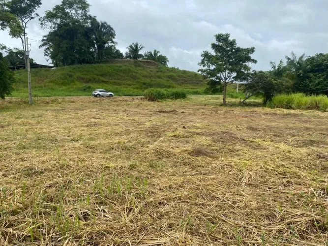 Vendo terreno na beira da estrada