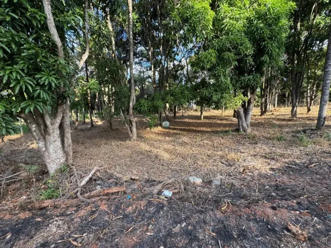 Terreno à venda no bairro Campinho - Lagoa Santa/MG