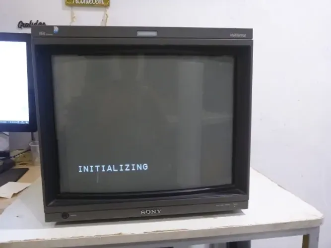 MONITOR SONY BVM-D20F1U