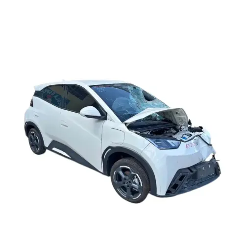 Bateria Elétrica BYD DOLPHIN MINI elétrico 2023 2024