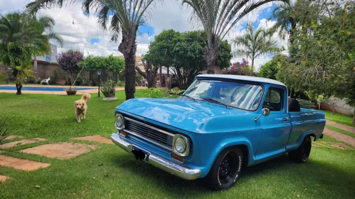 Chevrolet C-14 2.5/4.1 1976