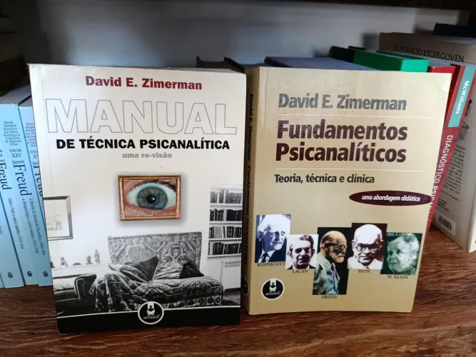 Livros Psicanálise David Zimmermann 