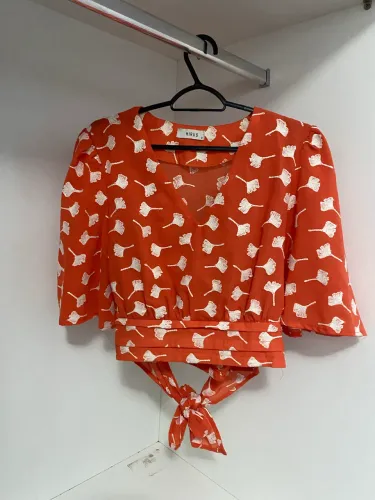 Blusa