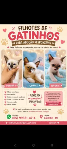 Adoção Responsável