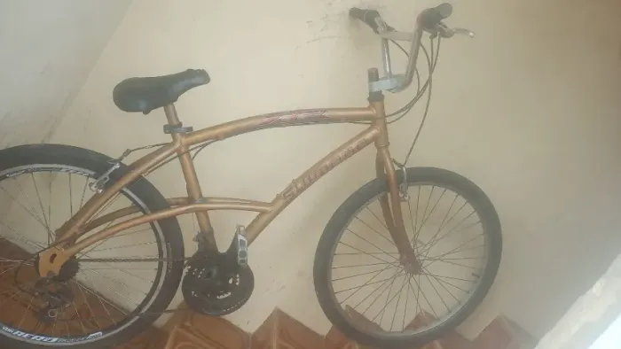Bicicleta aro 19