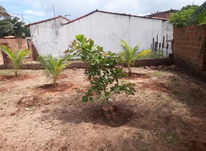 TERRENO EM EXTREMOZ 