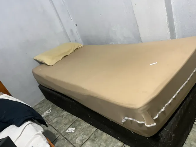 Cama 