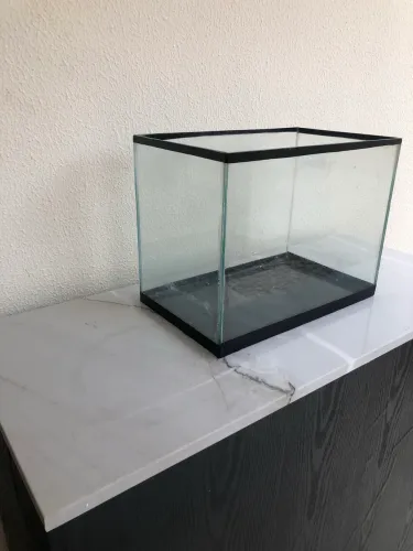 Aquário Novo 25L - Vidro Temperado (Base Blacklight)