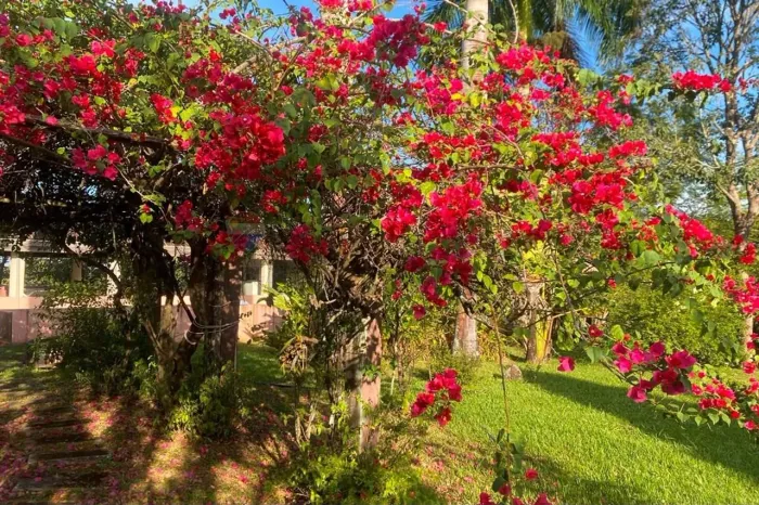 Excelente Propriedade Rural: 11 hectares com Riqueza Hídrica e Estrutura Completa
