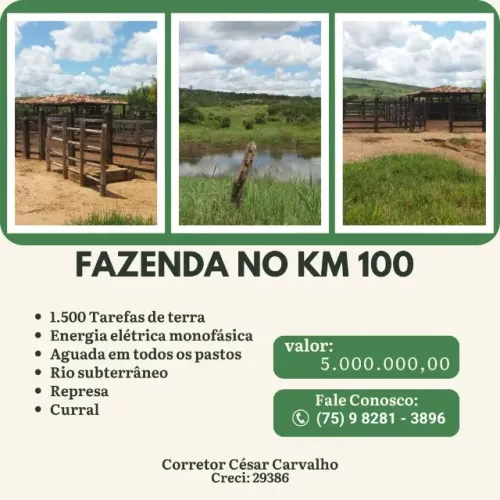 FAZENDA NO KM 100 - 1500 TAREFAS