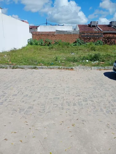 Limpeza de terreno