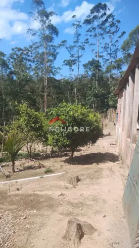 Sítio em Estrada do Mambu - Jardim dos Eucaliptos - São Paulo/SP