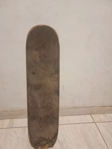 Skate usado