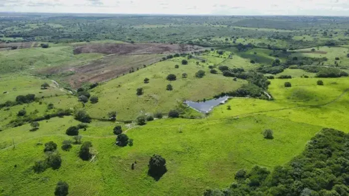 Excelente Granja com 20 hectares na região de Monte Alegre