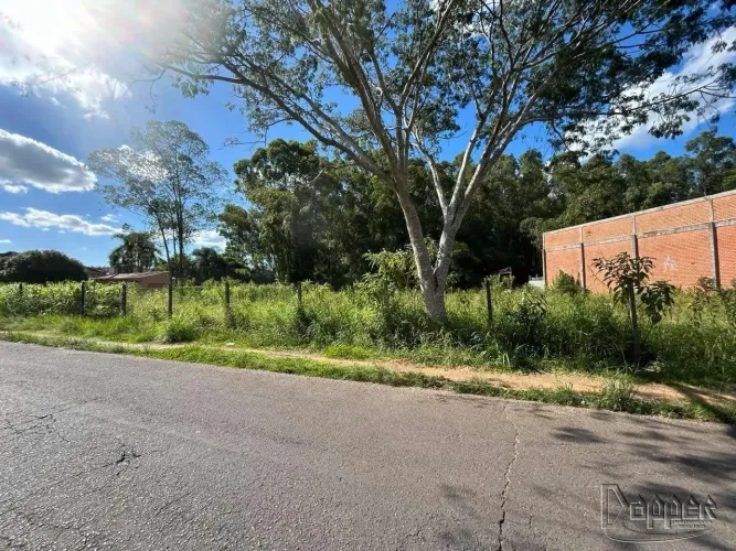 Terreno à Venda no Bairro Rincão com Área Disponível para Construção e Investimentos
