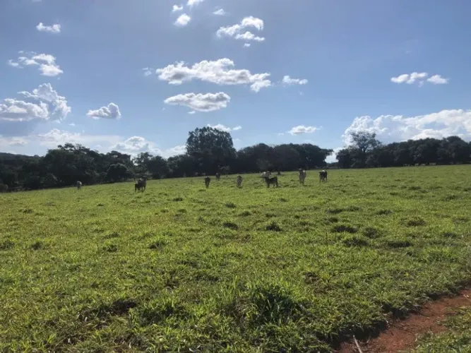 LINDO SÍTIO EM UBERLÂNDIA SENDO 02 ALQUEIRES 