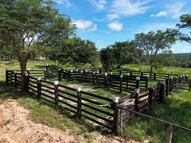 Fazenda Luz Divina - Interior do MT - Escriturada
