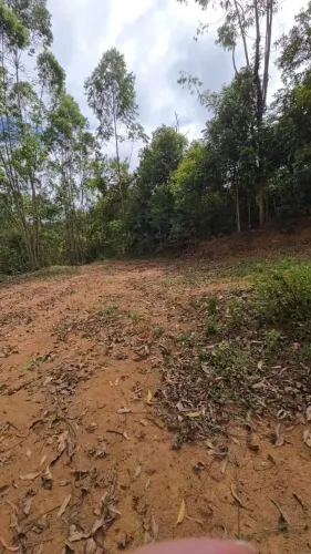 Sitio, Chácaras localização, lado Cachoeira Jo Lindo, PARCELO, TROCO, LEIA, aceito propost